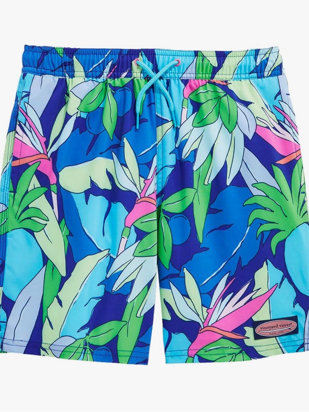 Vineyard Vines Blue Green Pink Tropical Swim Trunks boys chappy sz 7 small